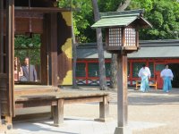 IMG_0556.JPG